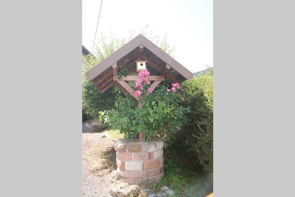 Lullaby House - Large, Full Comfort 5 Star Chalet House In The Vosges Ramonchamp Eksteriør billede