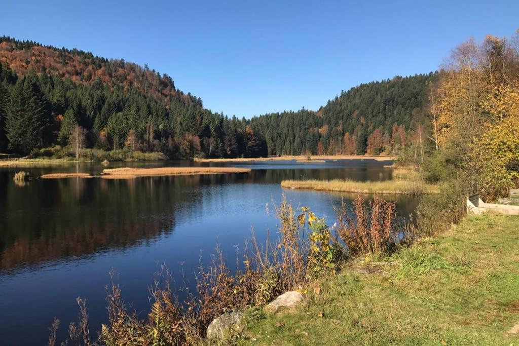Lullaby House - Large, Full Comfort 5 Star Chalet House In The Vosges Ramonchamp Eksteriør billede